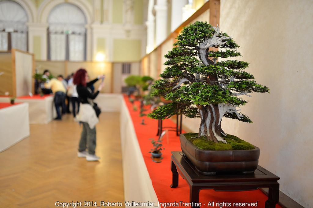 Albergo Ristorante Da Neni โมรี ภายนอก รูปภาพ